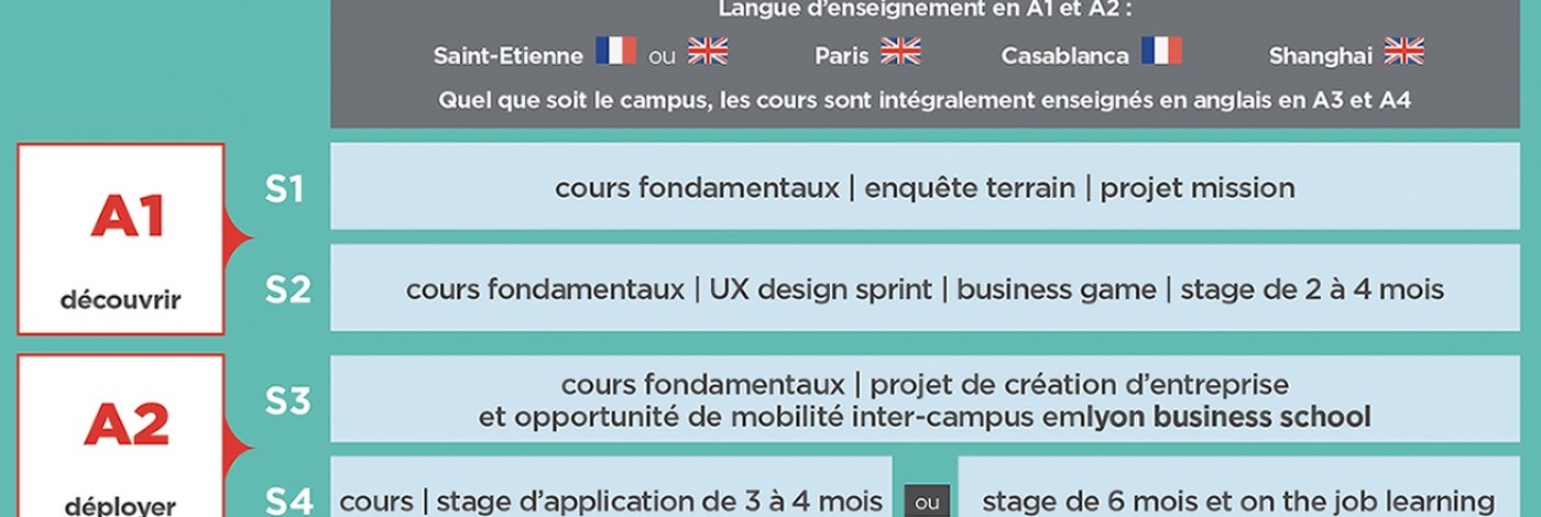 schema-haut