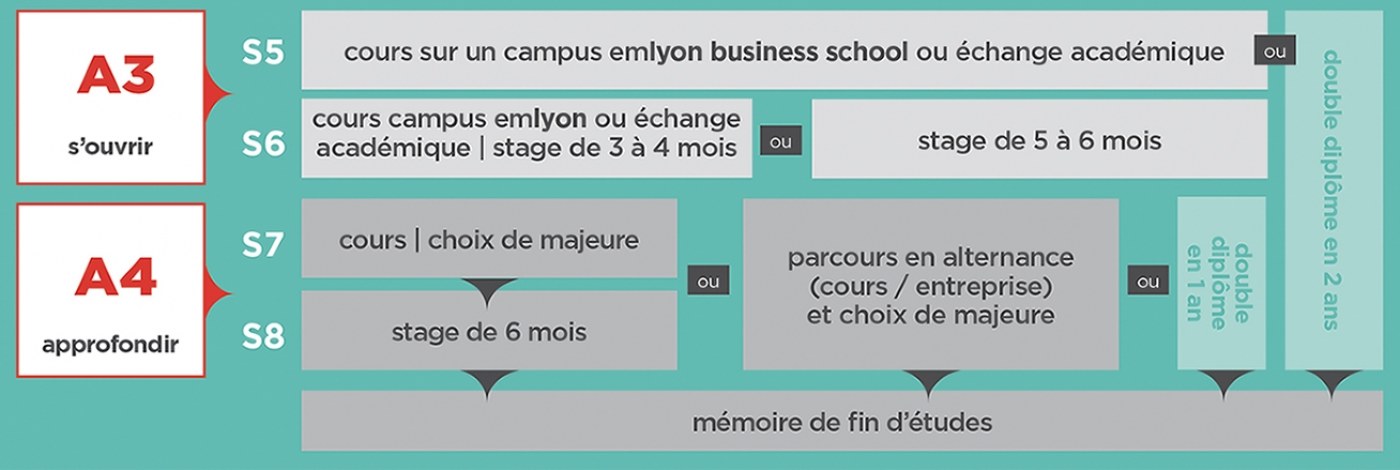 schema-bas
