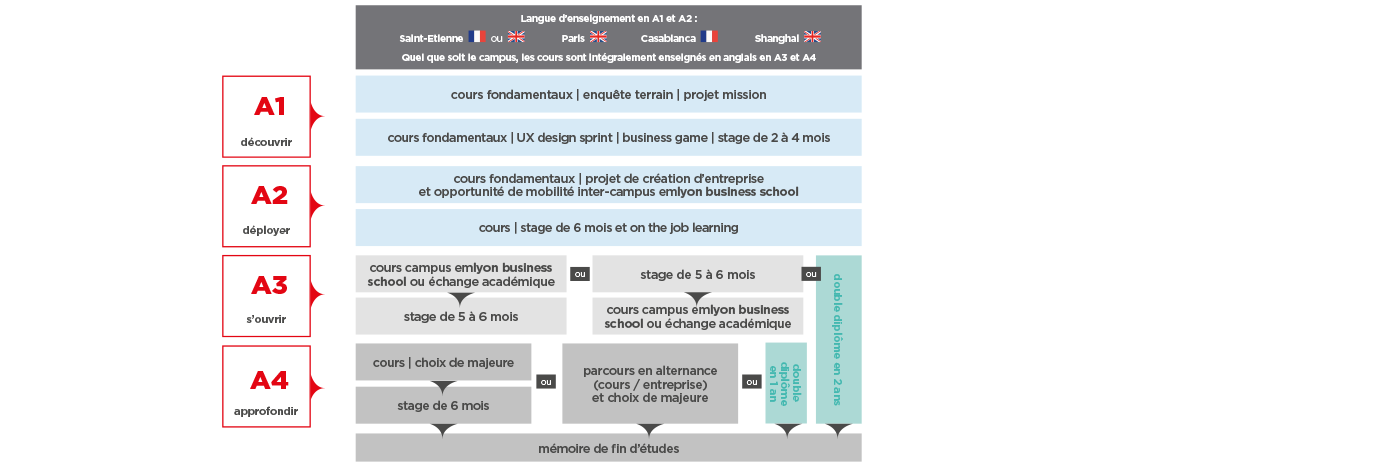 schema-haut