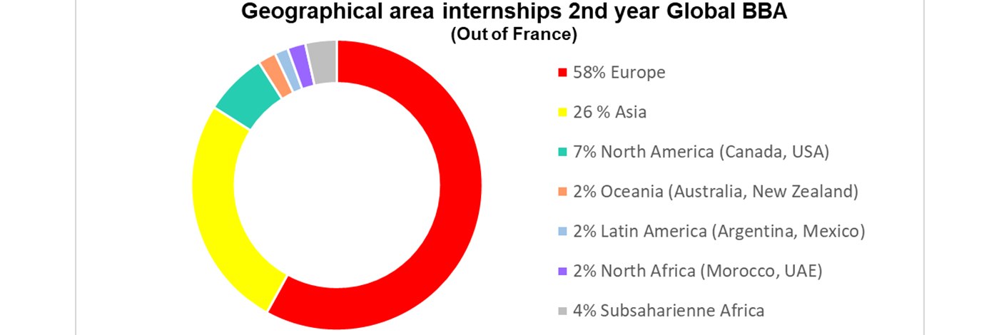 Global BBA Geographical Area 2019 2020